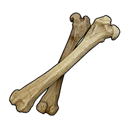 Bone material icon